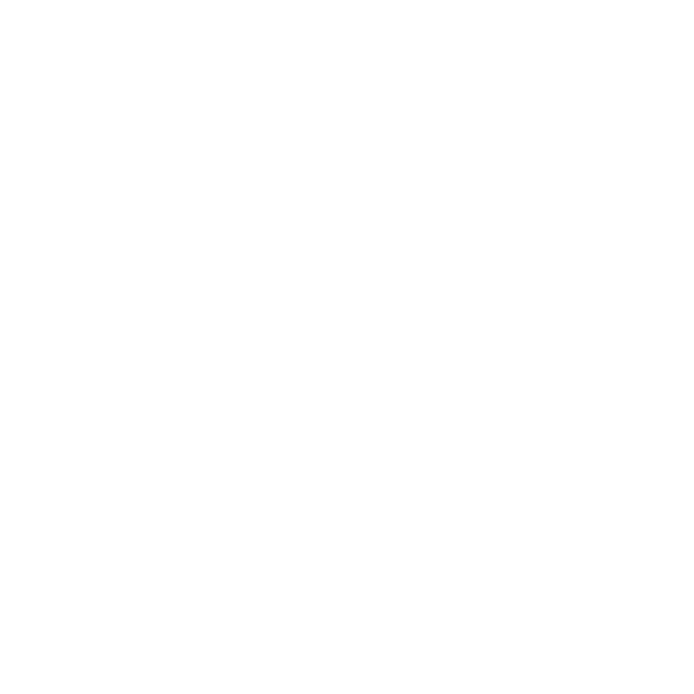 MAESTRE Logo